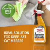 Nature's Miracle Set-In Stain Destroyer For Cat Messes, Oxy Formula With Orange Scent, 24 Ounces (Pack of 2)