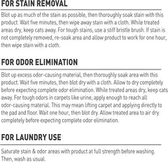 Nature’s Miracle Set-In Stain Destroyer, 1 Gallon, For Cat Messes, Oxy Formula With Orange Scent